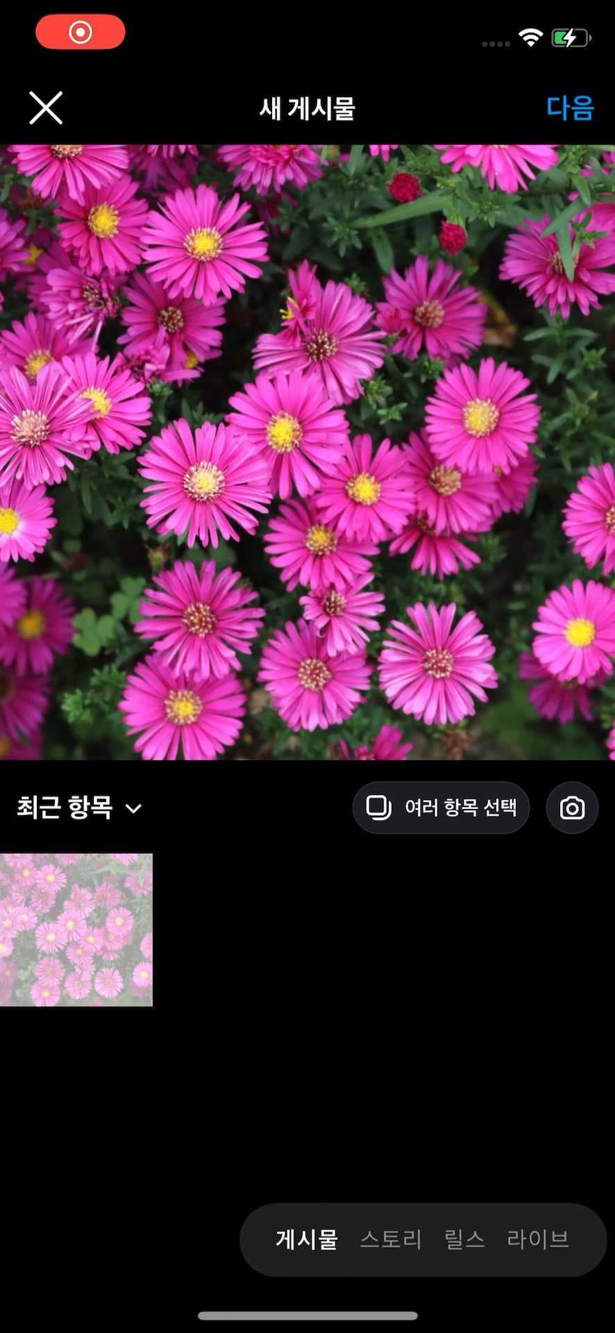 컨텐츠 생성