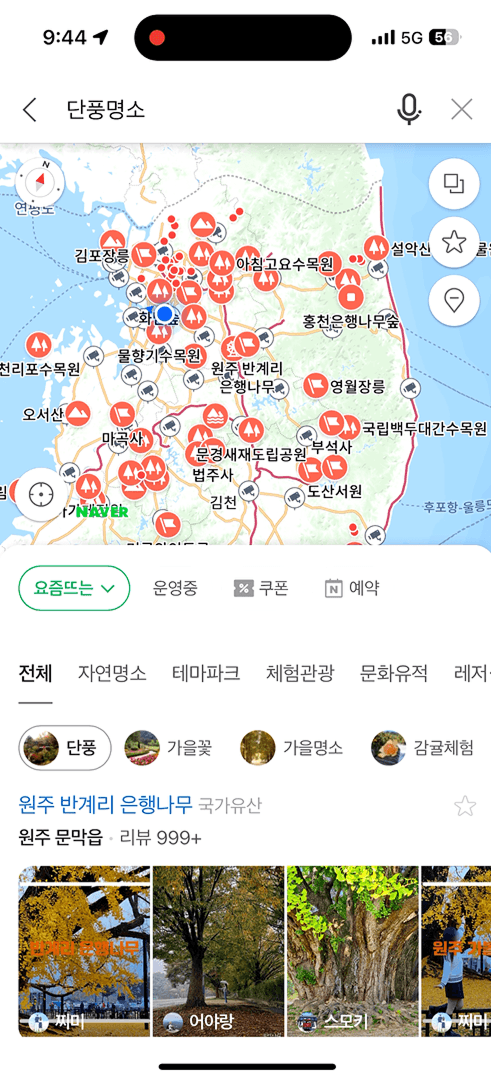메인화면
